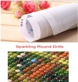 5D DIY Diamond Painting Kits for Adults,Christmas Diamond Art Kits for Beginners,Winter Diamond Dots for Holiday Gifts and Hone Wall Decor 14X14 Inch MjhRcll