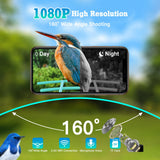 DELOTA Bird Feeder with Camera, Smart Bird Feeder Camera with Ai dentify Bird Species, Auto Video Bird Feeder Camera Live Motion Activated, Bird Feeder with Camera for Outdoor (Green) DELOTA