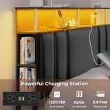 Modern VIAGDO Queen Bed Frame with Bookcase Headboard, LED Lights, Charging Station & Storage Drawers - Black VIAGDO
