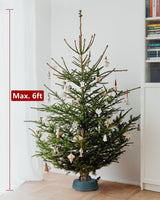 Leejec Christmas Tree Stand with Water Reservoir, Fast Clamped 6 Ft Real Tree with 5.1" Diameter, Water Level Indicator Equipped, No Assembly Required Leejec