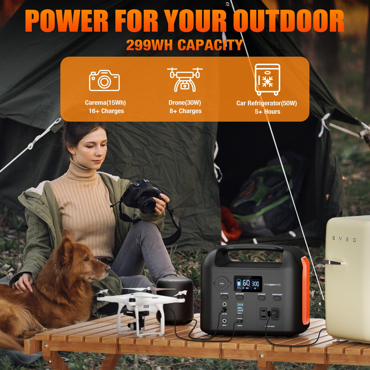 Portable Power Station, 300W (600W Peak) 299Wh LiFePO4 Solar Generator Pure Sine Wave 110V AC Car Outlets PD 60W QC3.0 Backup Power Supply Bank for Camping, Blackout, CPAP pangootek