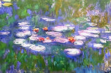 NIHO-JIUMA Diamond Painting Kits Water Lilies, DIY 5D Full Drill Diamond Art Gift for Adult/Teen, Home Decoration (30 X 40 cm / 12 X 16 inches) NIHO-JIUMA