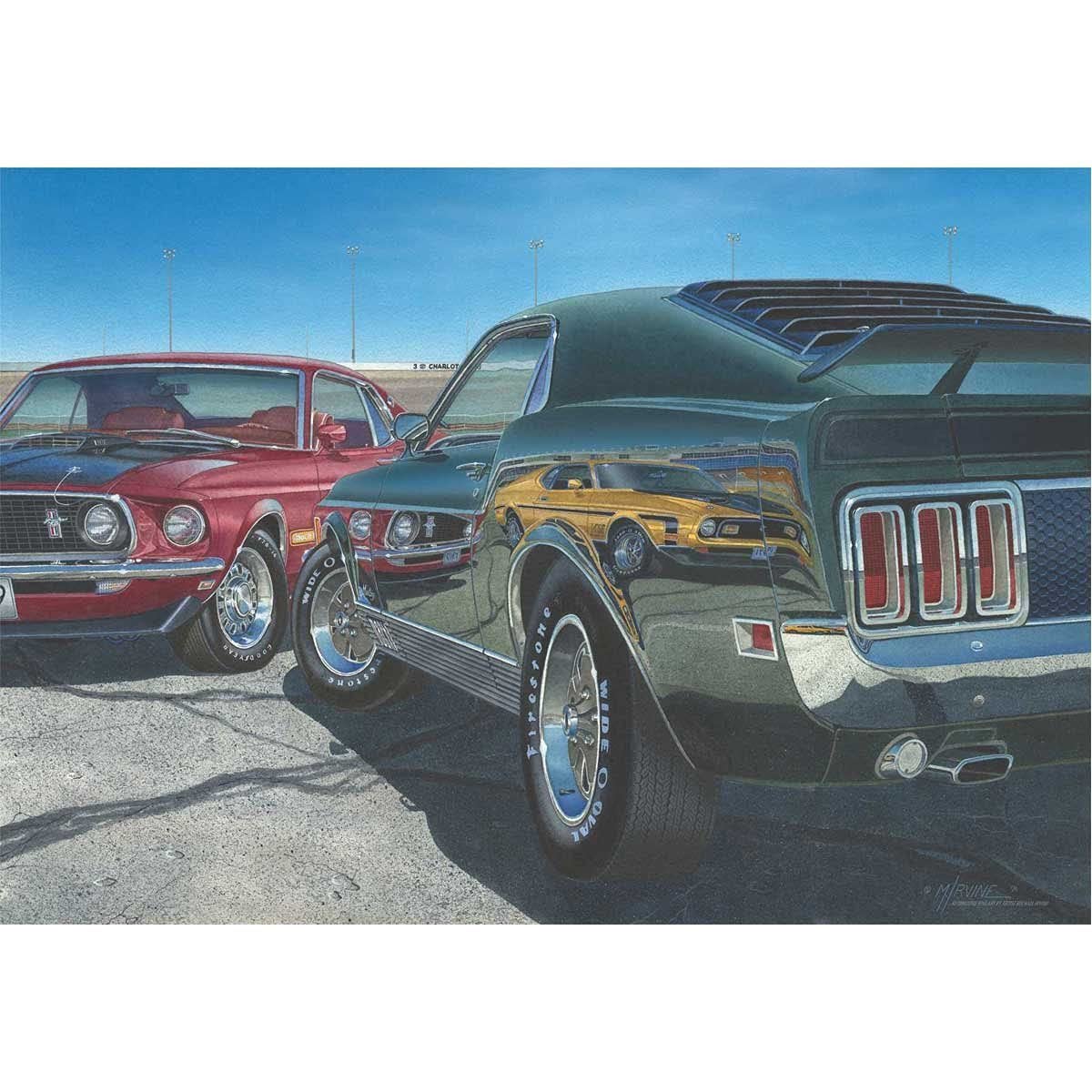 Anatolian 500 Piece Puzzle - Mach Speed Puzzle, Multicolor (PER3548) Anatolian