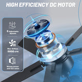 DSNAPE 52 Inch Black Ceiling fan with Lights, Ceiling Fan with Lights and Remote/APP Control, Reversible, Dimmable, 3CCT, Quite Ceiling fan for Living Room, Bedroom, Indoor Outdoor Use DSNAPE