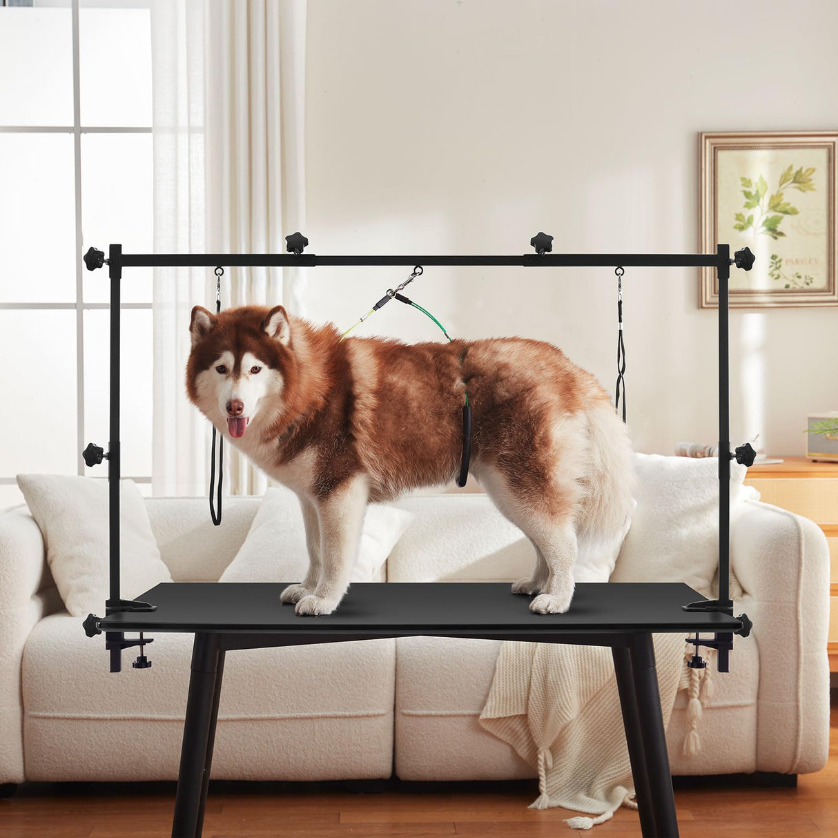 ZPVP Dog Grooming Table Arm Stand Adjustable About Height 32"-47" Width Dog Grooming Arm with Clamp No-Sit Haunch Holders for Medium/Large Pets Metal(Grooming Table Not Included) ZPVP