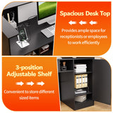 PAKASEPT Modern Reception Desk with LED Lights, 63 Inches Front Counter Table with Lockable Drawer & Shelves, Checkout Counter for Reception Room, Lobby, Beauty Salon, Retail, Office(Black) PAKASEPT
