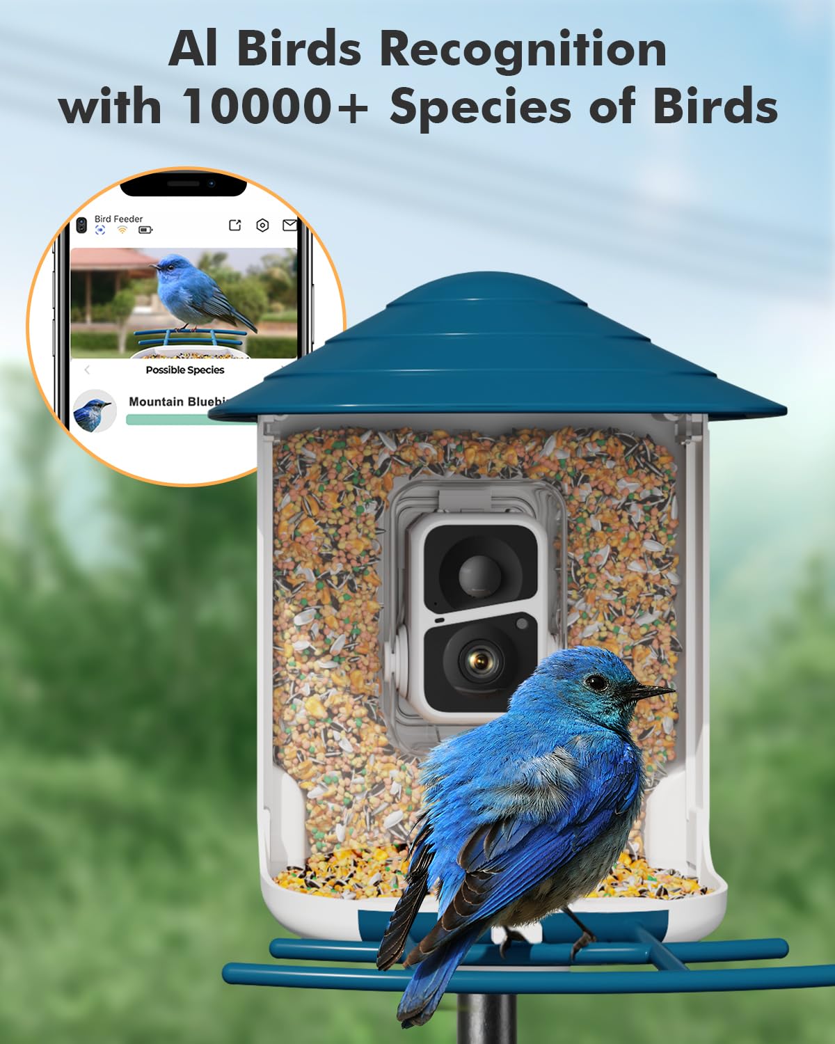 Dzees Smart Bird Feeder with Camera, Bird Feeder Camera Wireless Outdoor, AI Identify Bird Species, Auto Capture Bird Videos, 1080P HD Bird Camera Dzees