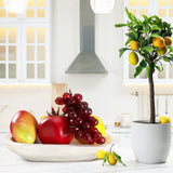 Xaatren Large Wooden Dough Bowl Decorative Wooden Bowl Rustic Wooden Long Dough Bowls Decor for Farmhouse Home Dining Table Centerpiece Living Room Kitchen Decorations (White,10 x 6 Inch) Xaatren