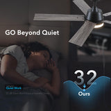 52 Inch Ceiling Fans with Lights and Remote, Black Ceiling Fan with 5 Blades, 6 Speed Reversible DC Motor, 3CCT Dimmable LED, Modern Design for Bedroom, Living room & Covered Outdoor,Includes Downrod Rayqueen