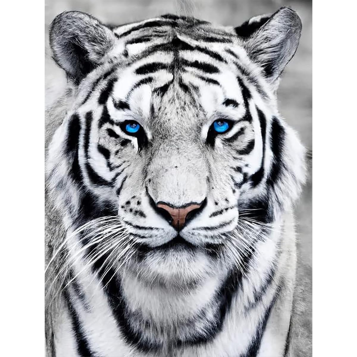 Amz Camel Diamond Painting Kit, 30x40cm White Tiger Portrait Wildlife Art, Round Drill DIY Craft for Adults, Majestic Animal Decor Gift Amz Camel