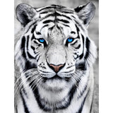 Amz Camel Diamond Painting Kit, 30x40cm White Tiger Portrait Wildlife Art, Round Drill DIY Craft for Adults, Majestic Animal Decor Gift Amz Camel