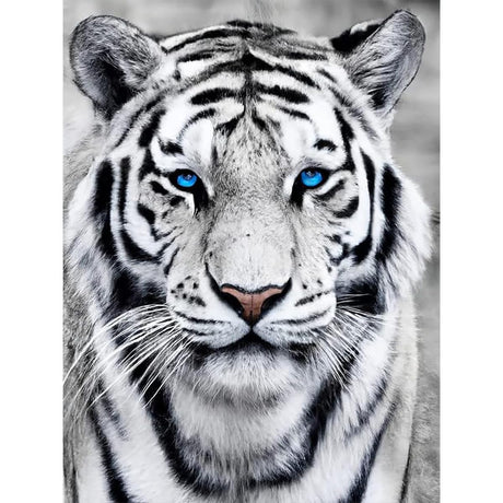Amz Camel Diamond Painting Kit, 30x40cm White Tiger Portrait Wildlife Art, Round Drill DIY Craft for Adults, Majestic Animal Decor Gift Amz Camel
