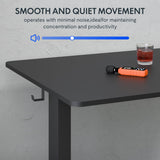 FLEXISPOT One-Piece Electric Standing Desk, 60 x 24 Inches Adjustable Desk with Seamless Desktop, Memory Controller Height Adjustment (Black Frame + Black Desktop, 2 Packages) FLEXISPOT