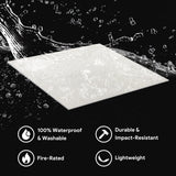 Fasarxiu 2ft x 2ft Printed Pro Ceiling Tiles Waterproof, Washable and Fire-Rated - High-Grade PVC Ceiling Tiles 24"x24" - Easy Drop-in Installation - Case of 12 (48 sq. ft.) Fasarxiu