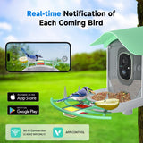 Bird Feeder with Camera, Smart AI Bird Breed Recognition, 1080P Bird Watching Camera with Solar Panel, Auto Capture Bird Videos & Instant Notifications, Ideal Gift for Bird Lover Green DOCOON