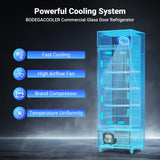 BODEGACOOLER Glass door commercial refrigerators, 9 cu.ft commercial beverage refrigerator, glass door display refrigerator for beer,bar,drink, Commercial fridge, Commercial merchandiser refrigerator. BODEGA