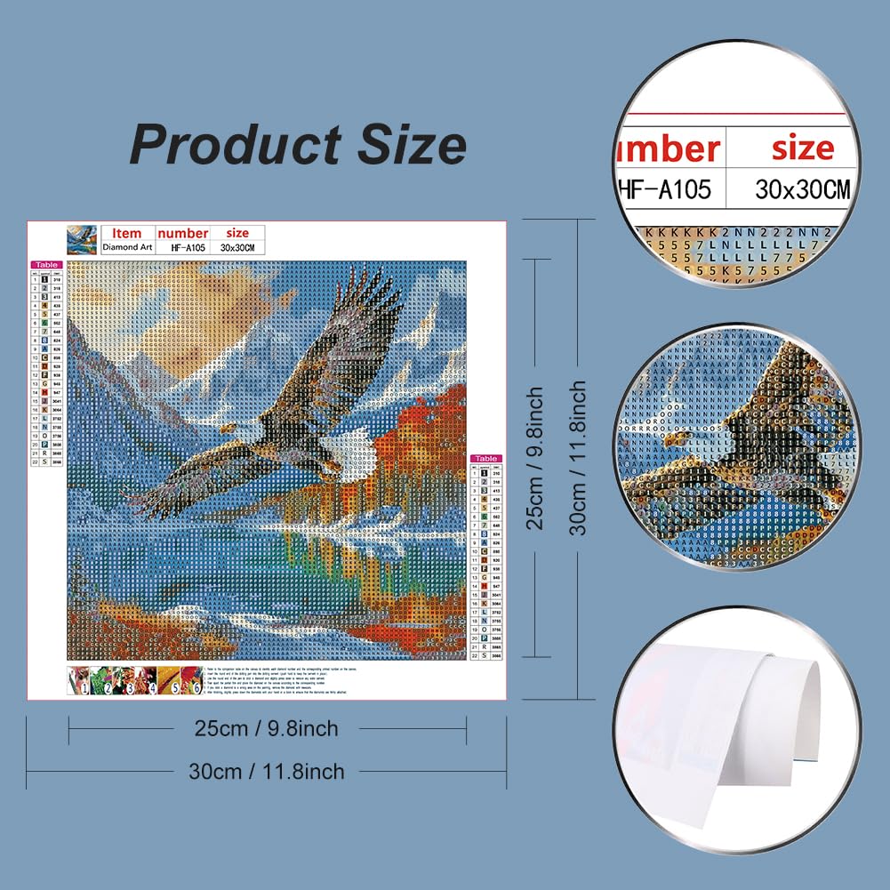 hill froeistung Eagle Diamond Art Painting Kits for Adults,Scenery Diamond Art for Beginners, 5D DIY Full Drill Round Gem Art Craft Home Wall Decor Gift 12x12 inch hill froeistung