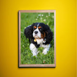 8 PCS Aluminum Sublimation Photo Blanks, Sublimation Blanks Aluminum Sheet, 0.4mm Thickness Aluminum Photo Sign Blank Metal Wall Photo Frame Blank for Sublimation Printing(4x6 Inch,6x8 Inch) Ubramac