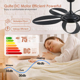 Ceiling Fans with Lights, 48 inch Black Ceiling Fan with Remote APP, Unique Fan Blades, Reversible, 3CCT Led, Sloped Flush Mount Low Profile Ceiling Fan with Lights Bedroom Living Room Indoor BayDay