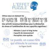 Ravensburger Aimee Stewart The Grand Library 1500 Piece Jigsaw Puzzle for Adults & Kids Age 12 Years Up Ravensburger