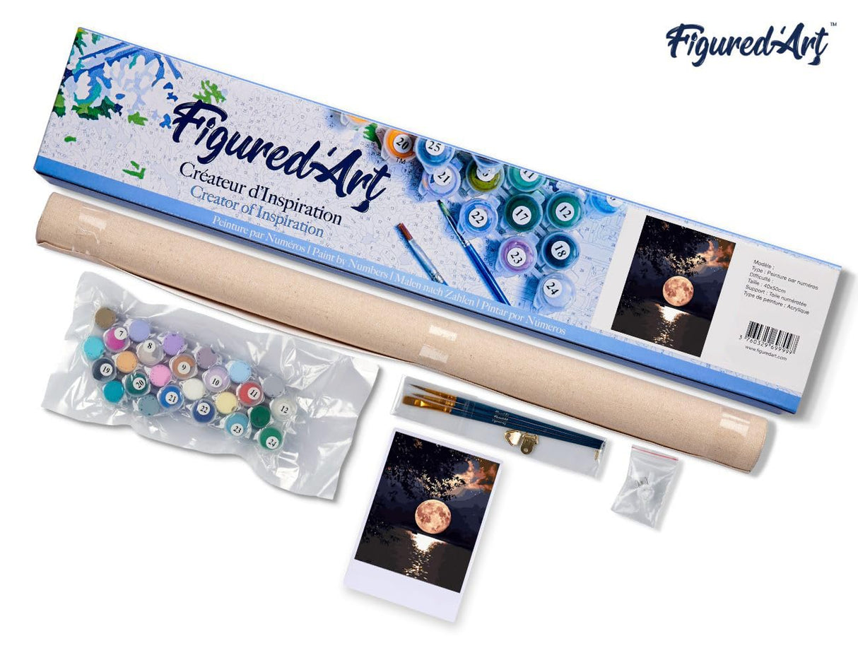 Figured'Art Paint by Numbers Kit for Adults Moon Reflection on The Lake 16"x20" - Craft Art Painting DIY Kit Rolled Canvas Without Frame Figured'Art
