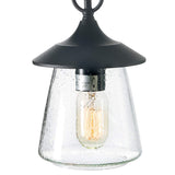 LOG BARN Outdoor Pendant Lights, Porch Fixture in Painted Black Metal with Clear Bubbled Glass Globe, Hanging Lantern Lamp for Gazebo, Entry, Yard LOG BARN