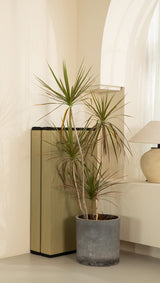 MustMat Thick Tatami Mat Twin XL Floor Mattress Japanese Tatami Bed with Storage Bag 39 x 80 x 2 in (Black) MustMat