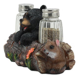 Ebros Black Baby Bear Cub Sitting In Log With Squirrel Salt And Pepper Shakers Holder Statue 6.75"Long Cabin Lodge Whimsical Bear Dining Table Centerpiece Ebros Gift