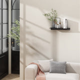 Danpoo Metal Wall Shelf, Black Floating Shelf, Small Bathroom Shelf, 12" Display Shelves for Wall Storage Danpoo