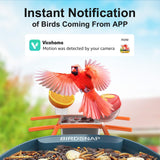 Smart Bird Feeder with Camera, 5 DIY Add-ons & 64G SD Card Auto Record Bird Video Bird House for Outside, AI Identify Bird Species Auto Capture with birdsnap