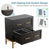 Tribesigns 2 Drawer File Cabinet, Modern Lateral Filing Cabinet for Letter/Legal/A4 Size, Large File Storage Cabinets Printer Stand with Storage for Home, Office, Black/Gold Tribesigns