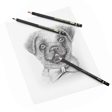 RVOGJP TAMATA Professional Drawing Sketching Pencil Set - 12 Pieces Art Graphite Pencils(12B - 4H), Ideal for Drawing Art, Sketching, Shading, for Beginners & Pro Artists RVOGJP