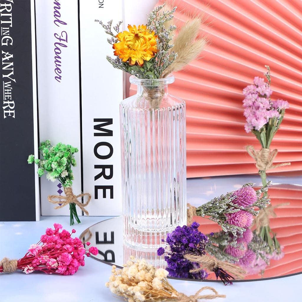 8 Pcs Mini Gypsophila Bouquets Dried Flower Daisy Bundles Dry Flower&Leaves Natural Lagurus Dried Embossing Flower Plant Stem Bunch for DIY Craft,Card Decoration,Photo Props,Home Party&Wedding Decor WWahuayuan