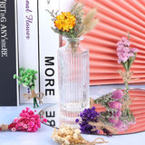 8 Pcs Mini Gypsophila Bouquets Dried Flower Daisy Bundles Dry Flower&Leaves Natural Lagurus Dried Embossing Flower Plant Stem Bunch for DIY Craft,Card Decoration,Photo Props,Home Party&Wedding Decor WWahuayuan