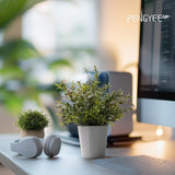 PENGYEE 4 Pack Small Fake Plants, Artificial Plants Indoor for Home Decor, Small Faux Plants Indoor, Fake Plants in White Pot for Bathroom Bedroom Kitchen Office Farmhouse Room Shelf Decor PENGYEE