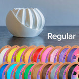 Polymaker Panchroma Matte PLA Filament, Muted White 1.75mm 1kg 3D Printing Filament, Formerly Polyterra Matte, Fit Most FDM 3D Printers, 1kg Spool (2.2lbs) POLYMAKER