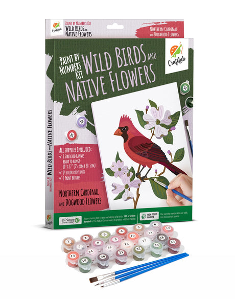 CraftLab Wild Birds Paint by Numbers Kit for Adults Teens Beginners, DIY Painting Accessories, Brushes Acrylic Paints, Stretched Canvas 10 x 12 inch Gift (Cardinal & Dogwood) CraftLab
