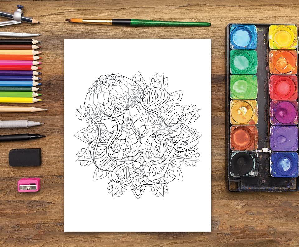 Adult Coloring Book: Animal Mandalas