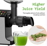 WHUTO Masticating Juicer Machines, Cold Press Juicer, Easy to Clean with Brush, Touch Screen Stainless Juicer Machines for Vegetable & Fruit, Juice Maker with Quiet Motor & 2 Speed Modes, Black Whuto