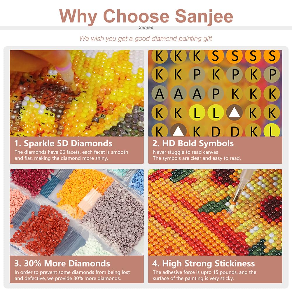 Sanjee Diamond Painting Kits for Adults, Mandala Diamond Art Kits for Beginner, 5D DIY Round Full Diamond Dots Paintings for Home Wall Decoration Gift, 12x12inch Sanjee