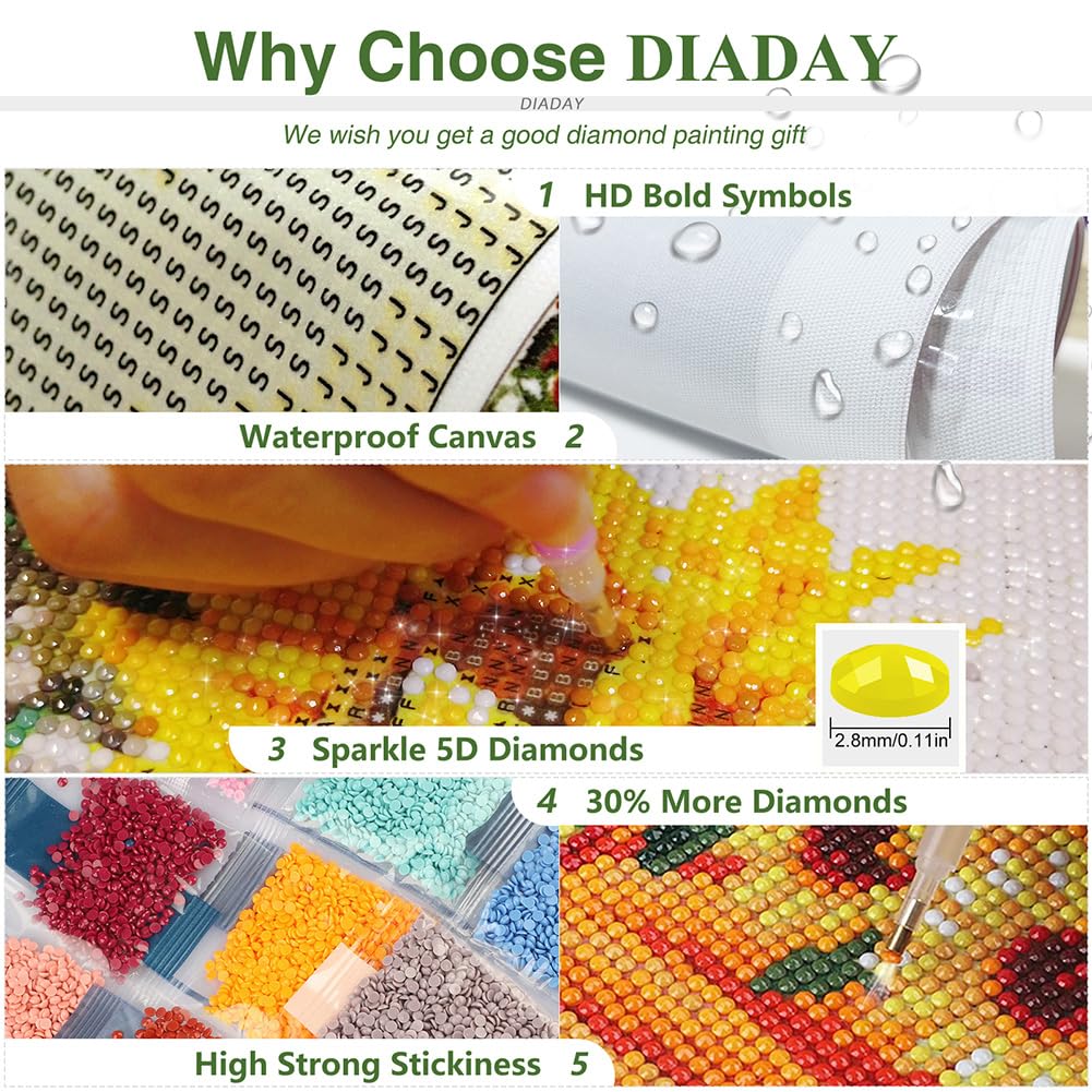 DIADAY 5D Diamond Painting Kits Hummingbird, Bird Diamond Art Kits for Adults Beginners, Full Drill Round Gem Dots Art DIY Craft Home Wall Decor Gift 12 x 12 Inches DIADAY