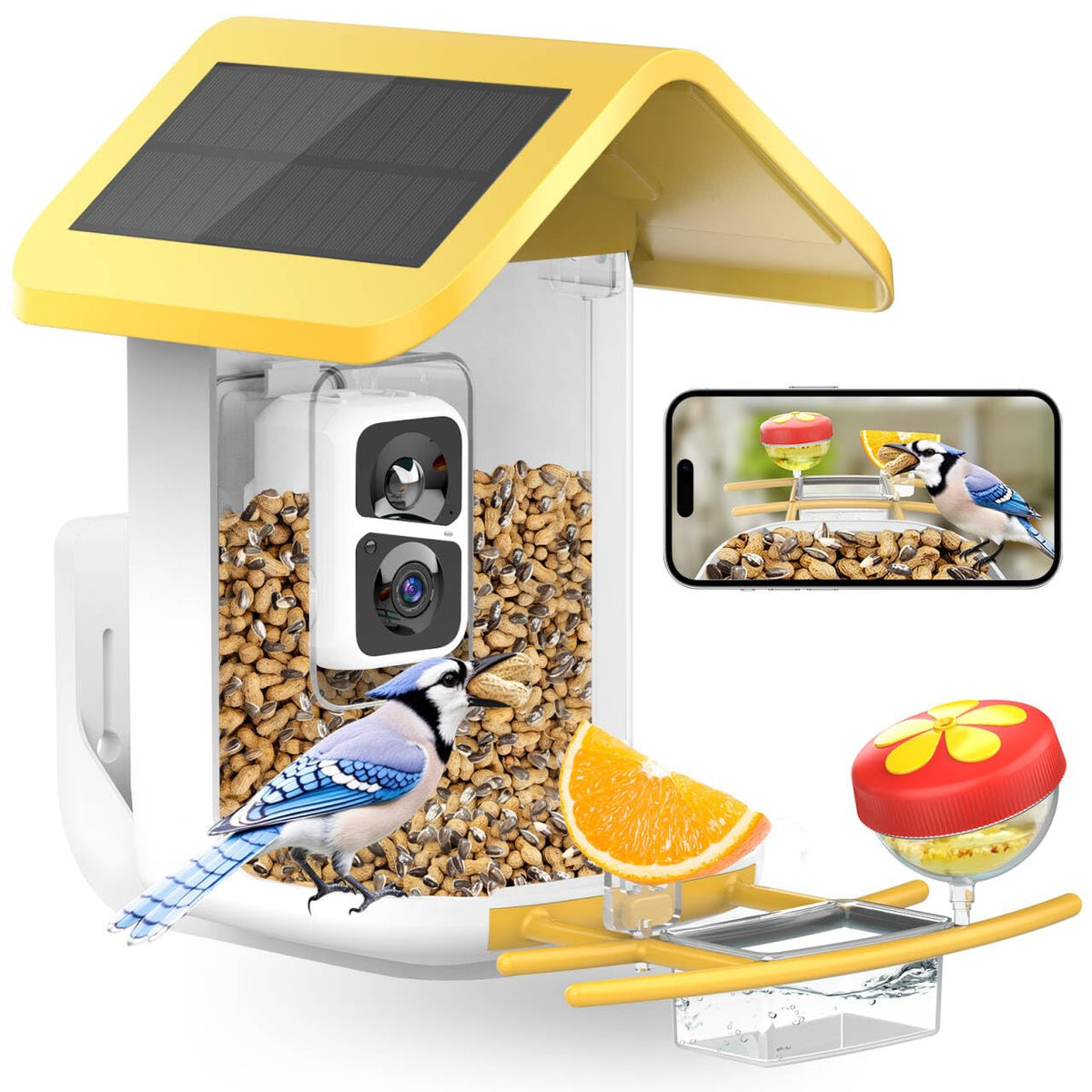 Viubird Bird Feeder with Camera: Solar Powered Smart Bird Camera Feeder 2K Live Feed for Backyard - AI Identify Auto Capture Videos, Gifts for Birdlovers Mom Dad, 2.4GHz WiFi VIUBIRD