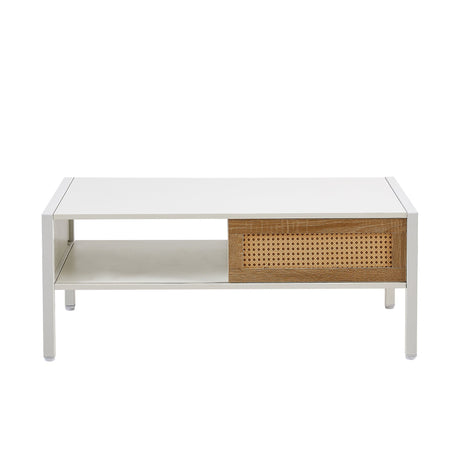 Modern Rattan Coffee Table with Sliding Door HouseOfZazla
