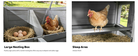 141" Gray Large Wooden Chicken Coop with Nesting Box HouseOfZazla