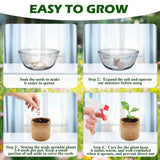 Bonsai Tree Kit, Wooden Bonsai Starter Kit, Coolrunner Bonsai Tree Starter Kit, Mini Bonsai Plant Growing Kit with Seeds Packets, Soil Discs, Jute Bags, Plant Markers, Gardening Tools etc (No Seeds) Coolrunner