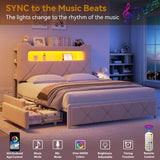 Full Upholstered LED Bed Frame with 2 Storage Drawers and 2-Tier Storage Headboard, Velvet Princess Platform Bed with Charging Station & Bookcase,Heavy Duty Metal Support,No Box Spring Needed,Beige Jocoevol