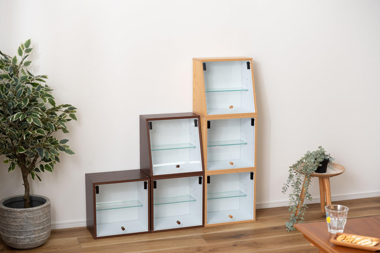 パレットライフ PaletteLife Knock-Down Curio Cabinet Box, 2 Tiers, Brown, Collection Case, Figurine Rack, Collectible Shelf, Storage, Otaku, Wood Grain, Glass, Assembly Required, BLT-651BR パレットライフ