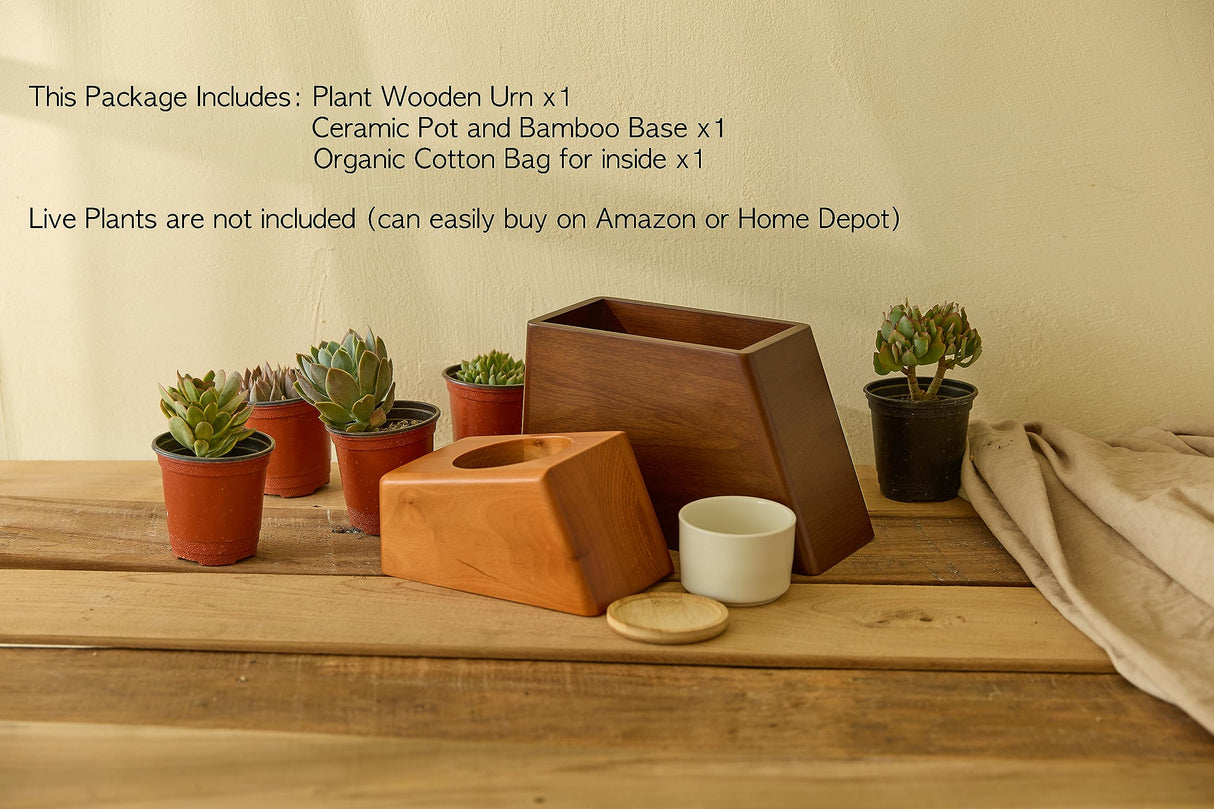 AspenStudio Plant Urn with Ceramic Pot with Magnetic Joint Solid Wooden Urn for Adult Human Ash Cremation Funeral Handcrafted Wood Urn Decorative Urn Large Urn Interior Aspen Studio