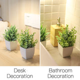 Der Rose 2 Pack Small Fake Plants Mini Artificial Potted Plants for Table Desk Home Laundry Room Bathroom Office Decor Der Rose