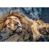 Trefl Sleeping Lion 1000 Piece Jigsaw Puzzle Red 27"x19" Print, DIY Puzzle, Creative Fun, Classic Puzzle for Adults and Children from 12 Years Old Trefl